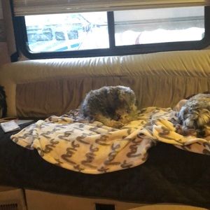 Meet your Posher, Steven